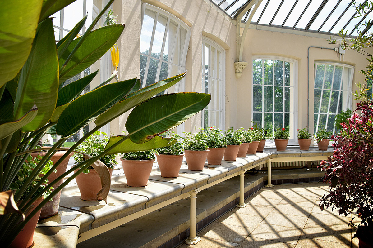 Lean-To vs Edwardian vs Victorian Conservatories: Which Is Best for Your Plymouth and Devon Home?